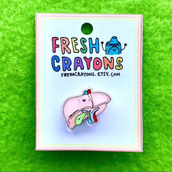 Liver Anatomy organ pin - Picture 1 of 4